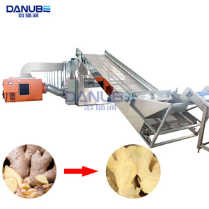Ligne de production complète pour le nettoyage, la découpe et le séchage du gingembre : Séchoir à bande maillée pour gingembre, équipement de séchage du gingembre - Product Image 1