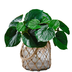 Feuilles de begonias artificielles Dian Duo, forme demi-parapluie, verdure pour la décoration intérieure, plante décorative d'intérieur, lot de 10 cm - Product Image 5