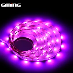 Best Wholesale Price Smart DIY RGB SMD5050 48/M Flexible Customized 12v 2500k Decorative LED Strip Lights