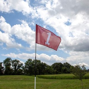 Cờ Golf Mini Cỡ Tùy Chỉnh Cờ Mini Giá Rẻ Bán Buôn Cờ Nhỏ Chơi Gôn Nhà Máy Trung Quốc - Product Image 5