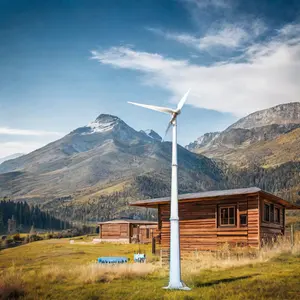 Générateur de vent CE à haute efficacité 10KW générateur eolic monophasé énergie éolienne 20KW MPPT générateur de turbine éolienne 5kw 220v 48v