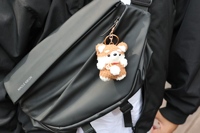 Porte-clés en peluche, porte-clés en peluche, porte-clés en peluche, porte-clés en peluche, jouet en peluche