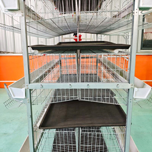 Jaula para Gallinas Ponedoras Tipo H para 50000 Aves, Equipo Automático para Avicultura, Sistema <span class=keywords><strong>de</strong></span> Jaulas para Pollos Tipo H, Pollitos - Product Image 5