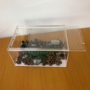 Maisons plastique pour animaux domestiques, Structure en acrylique, boîte d'élevage, petit boîtier transparent pour araignée, pour Reptile - Product Image 3