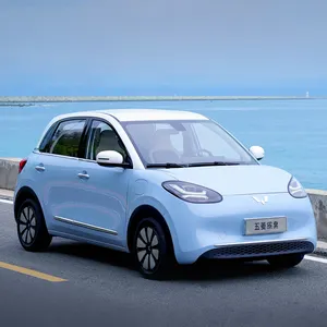 China Wuling New Energy Vehicle Cheap Electric Car Adult E Car 333km Range 1kWh/10km Wuling Bingo EV Mini Ev Car