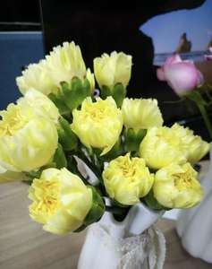 批发热卖康乃馨黄色教师节母亲情节切花办公室花 - Product Image 1