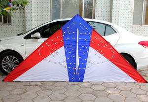 <span class=keywords><strong>Led</strong></span> Licht Vliegers En Knippert Night Vliegers - Product Image 2