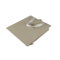 Sacs en papier kraft biodégradables, durables, écologiques, réutilisables et personnalisés, avec poignées en ruban/corde de coton, pour emballages cadeaux et artisanat