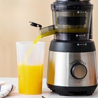 Custom Logo Elektrische Roestvrijstalen Oranje Groente Fruit Langzaam Kauwen Juicer Machine Commerciële Koudgeperste Juicer