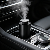 Diffuseur d'arômes Art Déco pour voiture et maison, pulvérisateur de parfum intelligent avec diffusion automatique, usage domestique et commercial, taille 16x10x10