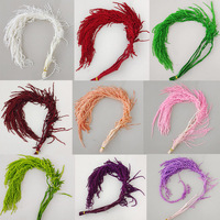 Plantes naturelles réelles, fleurs d'amarante suspendues, amarante longue blanchie et préservée, Amaranthus Caudatus pour la décoration de mariage
