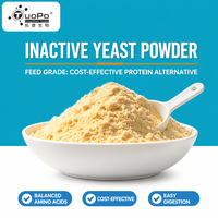 Poudre de levure inactive à haute teneur en protéines brutes digestibles (35%-50%) – Attractant alimentaire naturel pour porcs, volailles, animaux aquatiques et animaux de compagnie