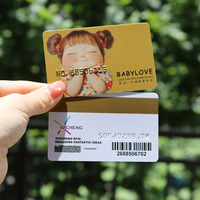 Cartes intelligentes RFID NFC personnalisables, étanches, MINI TAG, en PVC, pour la publicité, les promotions, le contrôle d'accès aux hôtels