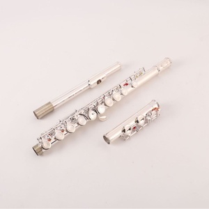 <span class=keywords><strong>Flauta</strong></span> Occidental Exquisita de 16 Orificios Niquelada para Estudiantes Principiantes y Exámenes, Ideal para Uso Transfronterizo - Product Image 2