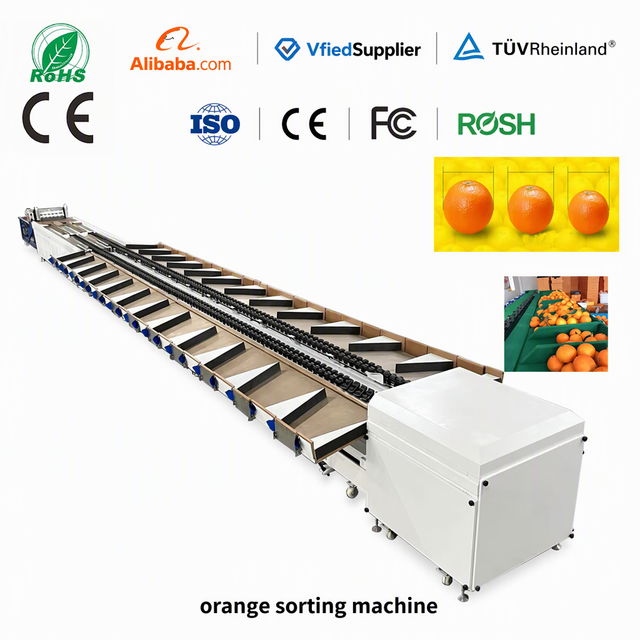 Blueberry Sorting Cherry Tomato Cherry Calibrator Sorter Machine Fruit Vegetable Selecting Sorting Grading