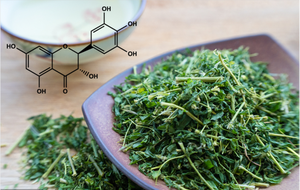 Échantillons gratuits <span class=keywords><strong>Rainbow</strong></span> Supply : Dihydromyricétine 20%, 30%, 50%, 98% de la meilleure qualité - Product Image 2