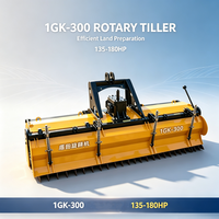 Motoculteur rotatif DTNJ 1GK-300, attache pour tracteur 3m, équipement agricole professionnel pour le travail du sol