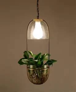 Lámpara colgante de cristal nórdico para decoración del hogar, iluminación de plantas, agua, moderna, para bar, comedor y cocina, envío directo