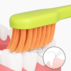 <span class=keywords><strong>Brosse</strong></span> à <span class=keywords><strong>dents</strong></span> souple adulte personnalisée en gros pour poignée en PP style suisse en nylon coloré pour gomme sensible <span class=keywords><strong>brosse</strong></span> de nettoyage des <span class=keywords><strong>dents</strong></span> manuelle - Product Image 4