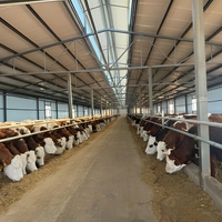Structure en acier préfabriquée galvanisée pour bâtiment agricole, abri pour bétail et moutons, hangar de ferme, grange à bétail
