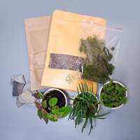 Kit de terrarium pour plantes aériennes avec couvercle en liège non enduit, design DIY pour la maison, le jardin, la décoration de bureau, terrarium en verre avec mousse, décoration de sol