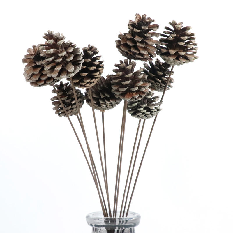 批发干花装饰松果独特的ins风格婚纱墙装饰家居布置 - buy pinecones