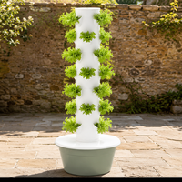 Tour de jardinage vertical à faible entretien - Système hydroponique facile à entretenir pour les débutants et les amateurs