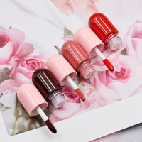 Gloss liquide repulpant pour les lèvres sans logo, huile repulpante gingembre menthe, capsule repulpante pour les lèvres, gloss à lèvres