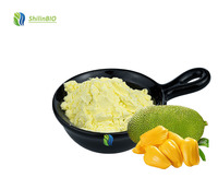 SLBIO Menyediakan Bubuk & Bubuk Biji Nangka Ekstrak Herbal Kelas Makanan Kemasan Drum Grosir