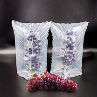 Film de protection PE+PA à bulles d'air de haute qualité pour le transport des raisins avec emballage antichoc et coussin d'air gonflable