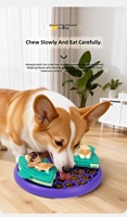 Gamelle anti-étouffement amusante pour animaux de compagnie, design personnalisé, logo sur mesure, antidérapante, gamelle interactive pour animalerie, gamelle à alimentation lente