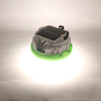 Nouvelle Conception 2026 : Ampoule LED Rétractable et Rechargeable à Fixation Magnétique pour Éclairage d'Urgence et Camping en Extérieur