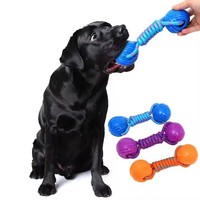 Jouet à Mâcher pour Animaux de Compagnie : Balle Élastique TPR, Jouets pour Chiens en Corde de Nylon, Résistance à la Morsure, Entraînement, Jeu de Traction, Jouets à Mâcher Interactifs