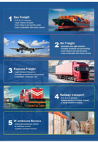 Plus de 20 ans d'expérience en agent de transit maritime DDU DDP LCL, expédition maritime de la Chine vers le Royaume-Uni, la France, l'Allemagne, l'Italie