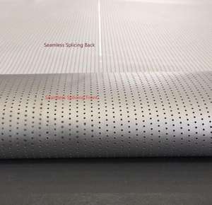 Écran numérique de projection 3D micro-perforé blanc 16:9, utilisation professionnelle pour le cinéma, acoustiquement transparent, passage du son - Product Image 6