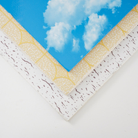 Plafonds en PVC coloré insonorisants et imperméables de style moderne et professionnel pour hôtels, pour la décoration intérieure