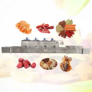 Máquina automática de esterilização por micro-ondas para café da manhã, frutas e castanhas de caju, folhas de moringa e cereais amargos, equipamento HNOC