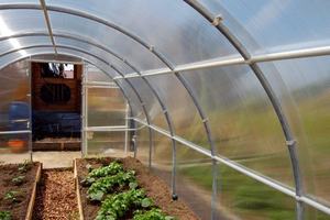 Película para Invernadero con 5 Años <span class=keywords><strong>de</strong></span> Garantía Anti-UV, 200 Micras, Difusora <span class=keywords><strong>de</strong></span> Luz y Anti-Goteo, Plástico Agrícola, <span class=keywords><strong>de</strong></span> Fábrica con 61 Años <span class=keywords><strong>de</strong></span> Experiencia - Product Image 2