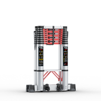 Échelle escamotable multifonctionnelle en aluminium, portable, pliable, moderne, à motif chevron noir et blanc, pour entrepôt