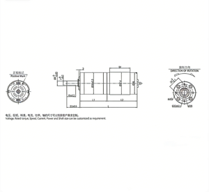 Motore a Ingranaggi Micro 36P-555 con Riduttore Planetario per Tende e <span class=keywords><strong>Tapparelle</strong></span> - Product Image 3