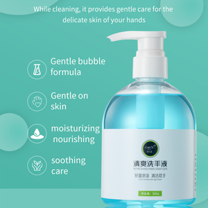 Désinfectant pour les mains OEM/ODM Liquide 500ml Technologie de rouleau moussant Nettoie les mains Laisse un parfum frais et agréable - Product Image 3