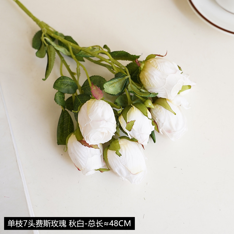 Autumn white-single branch 7 firth rose