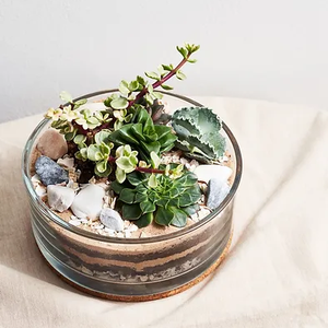 OEM bocal <span class=keywords><strong>en</strong></span> <span class=keywords><strong>verre</strong></span> de forme personnalisée pour terrarium design moderne décoration de la maison plantes succulentes vase <span class=keywords><strong>suspendu</strong></span> kits de terrarium - Product Image 3