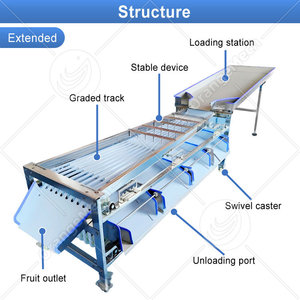 เครื่องคัดขนาดและคัดเกรด<span class=keywords><strong>ผล</strong></span><span class=keywords><strong>ไม้</strong></span>และผัก HNOC สำหรับกระเทียม มะเขือเทศ กีวี พร้อมเครื่องเคลือบแว็กซ์และคัดเกรด <span class=keywords><strong>ราคา</strong></span> - Product Image 2