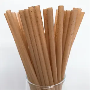 100% Total Biodegradable Bagasse Straws 6mm 210mm Sugarcane Straw
