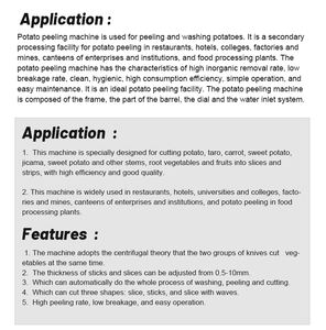 Machine automatique à éplucher et à trancher les fruits pour le gingembre et les croustilles en Égypte - Product Image 6