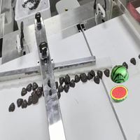 Équipement de conditionnement de chocolat en feuille ondulée de style fruit hémisphérique, à haute capacité de distribution de colle, conçu sur mesure et automatisé