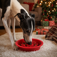 Gamelle anti-glouton en silicone pour animaux de compagnie, design Père Noël de Noël, pour chiens et chats, plateau d'alimentation lente, vaisselle pour animaux