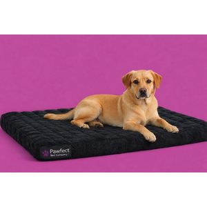 Cama Ortopédica para Perros Pawfect Bed Company Dream Lounger Xxl con Soporte de Espuma Viscoelástica, Rectangular, 52 x 36 Pulgadas - Product Image 1