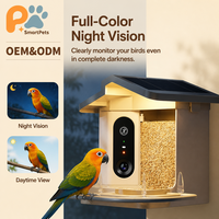 Caméra de mangeoire à oiseaux intelligente 1080P avec énergie solaire, reconnaissance d'oiseaux par IA et observation d'oiseaux à distance
